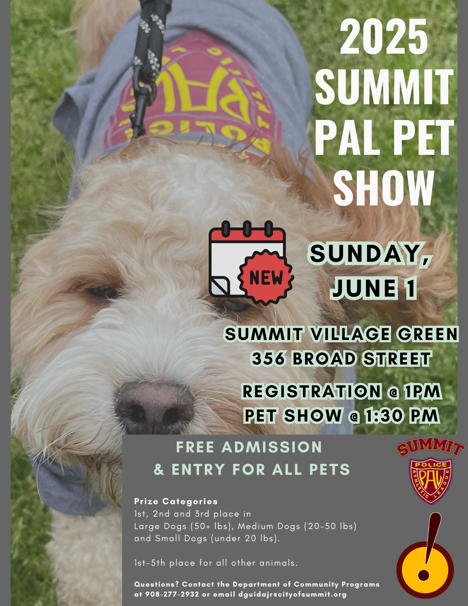 6.1 PET SHOW
